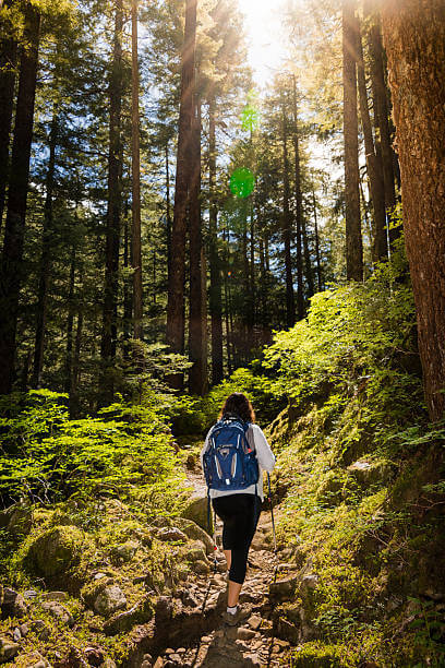 Woman hiking through the woods with a sunburst above her